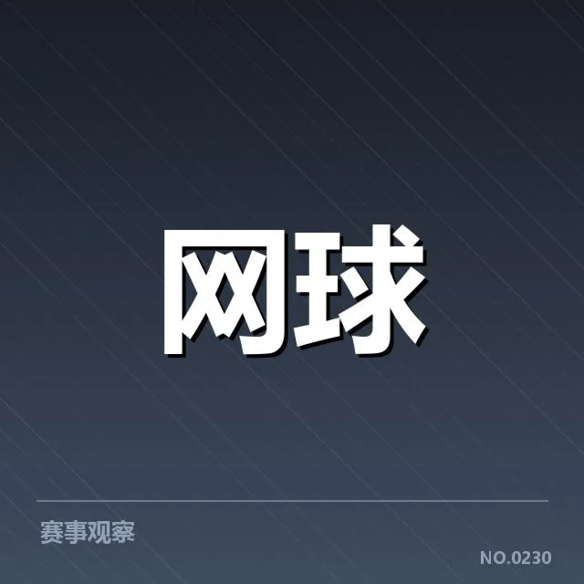 已确立的主要竞争队伍名单